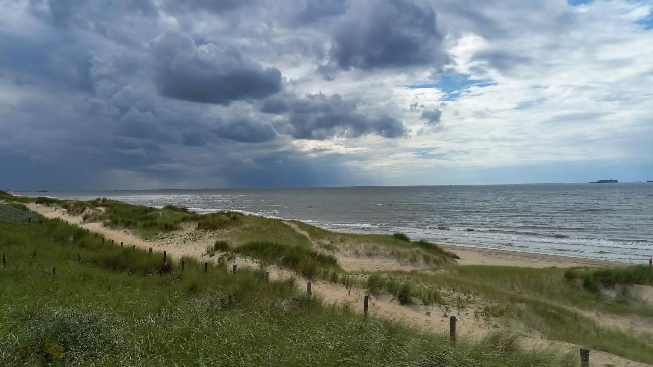 Het Zeepaartje, Knus En Gezellig Villa Noordwijkerhout Dış mekan fotoğraf